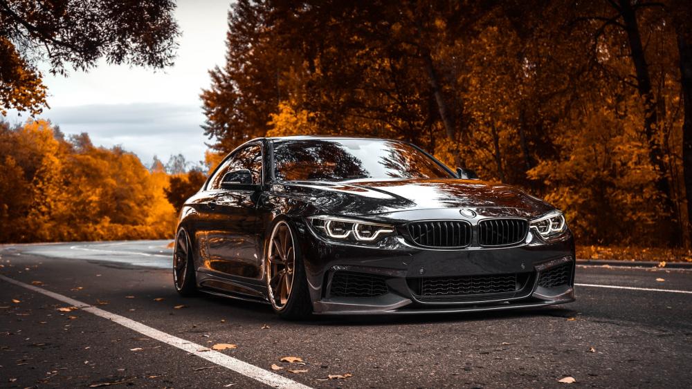 Sleek BMW M4 Dominates Autumn Road wallpaper