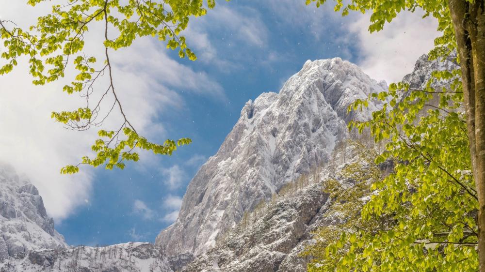 Majestic Peaks in Springtime Snow wallpaper