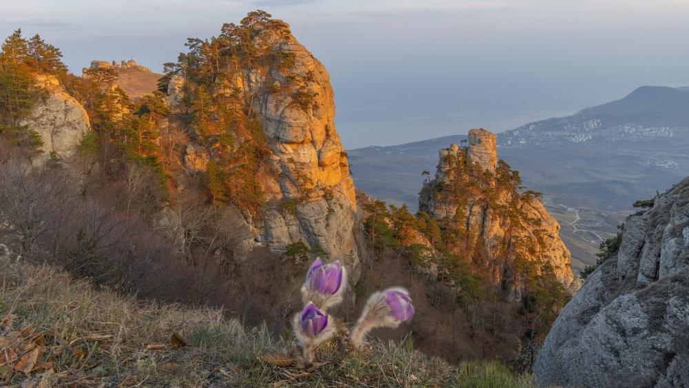 Majestic Cliffs of Demerdzhi-Yayla at Sunset wallpaper