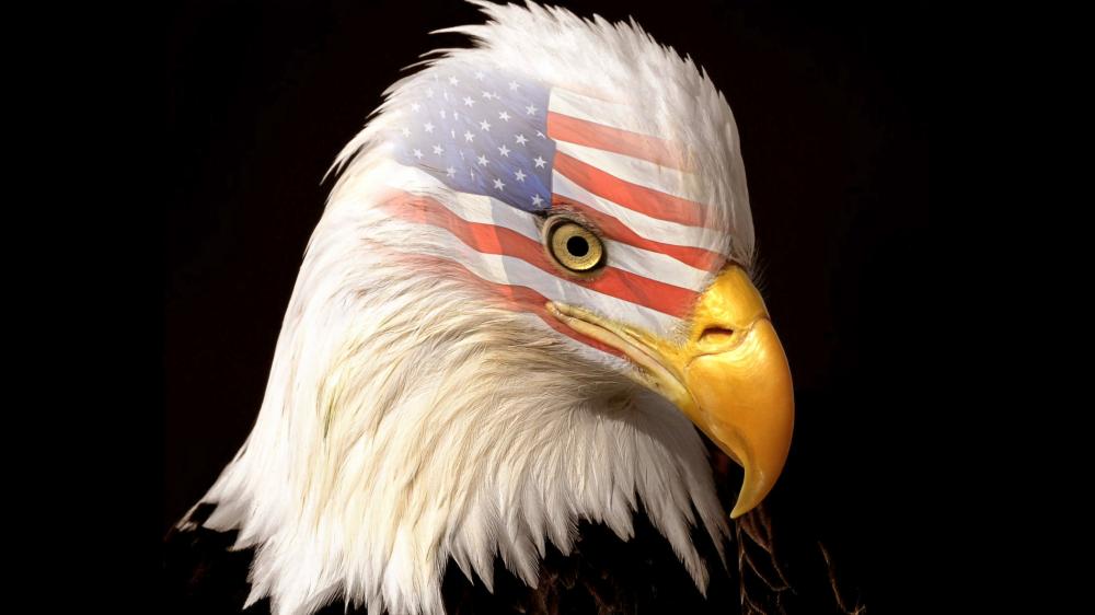 Majestic Eagle Emblazoned With American Flag wallpaper