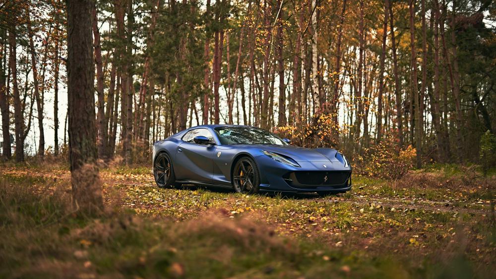 Autumn Elegance with a Luxurious Sports Car wallpaper