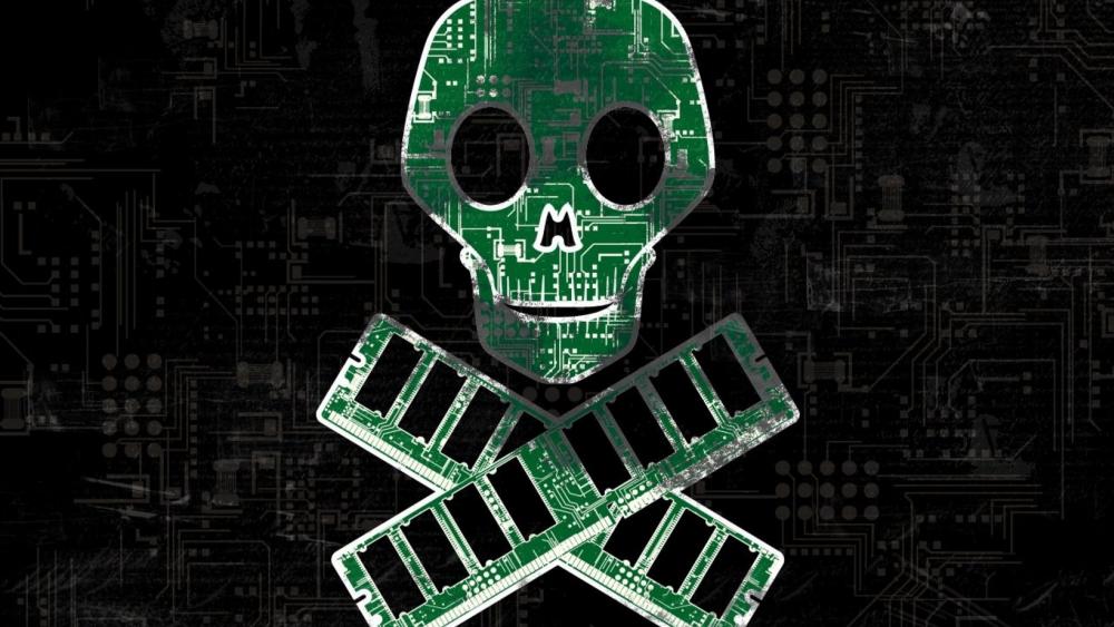 Digital Skull and Crossbones Cyber Threat Symbol wallpaper