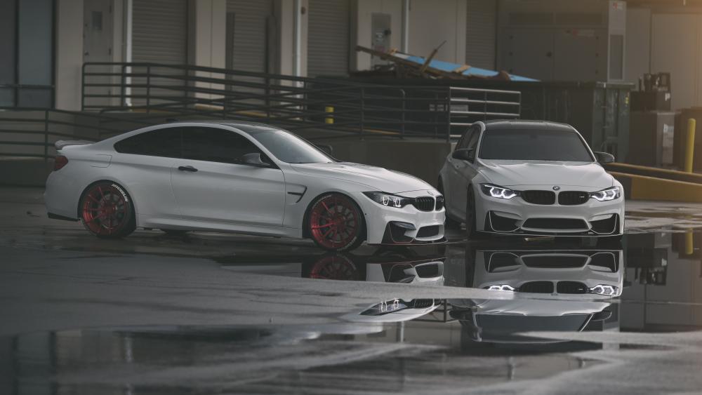 White BMWs Gleaming After Rain wallpaper