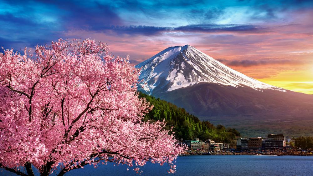 Majestic Mount Fuji and Cherry Blossoms from Lake Kawaguchi wallpaper