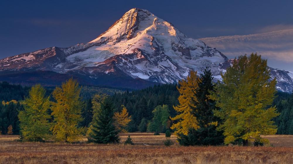 Majestic Mount Hood at Dusk wallpaper