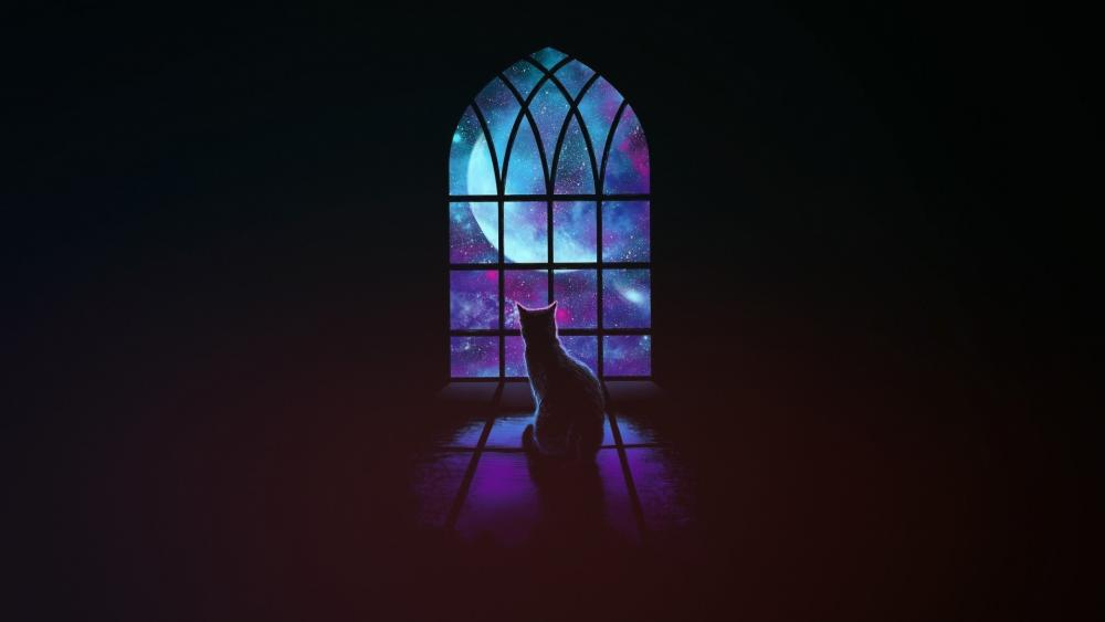 Mystical Feline at the Cosmic Window wallpaper