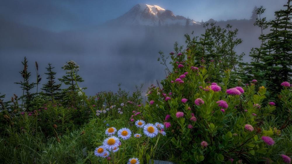 Mystic Sunrise at Mount Rainier wallpaper