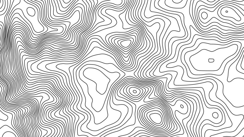 Monochrome Topographic Lines Artistry wallpaper