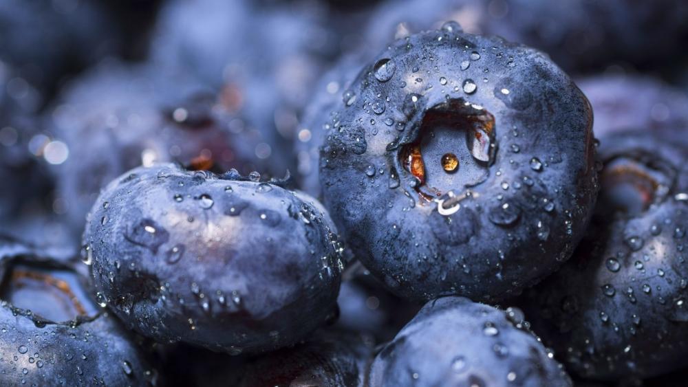 Dew-Kissed Blueberries in Close-up wallpaper