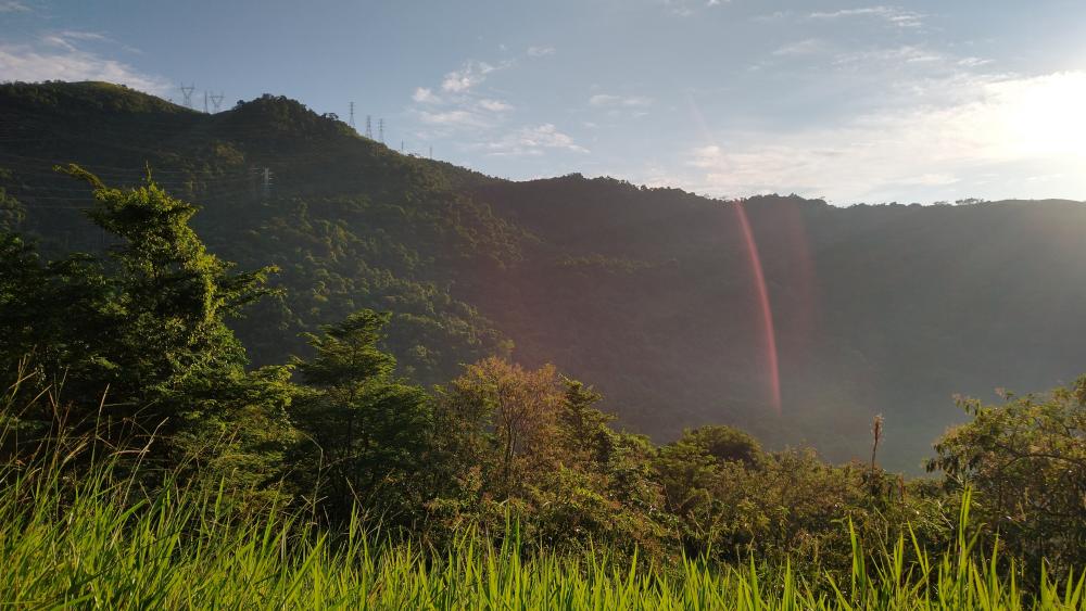 Lush Green Mountains at Sunrise wallpaper