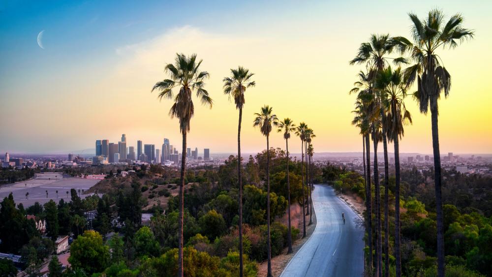 Los Angeles Sunset Boulevard wallpaper
