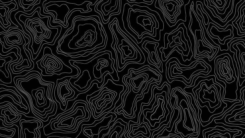 Black and White Topographic Complexity wallpaper