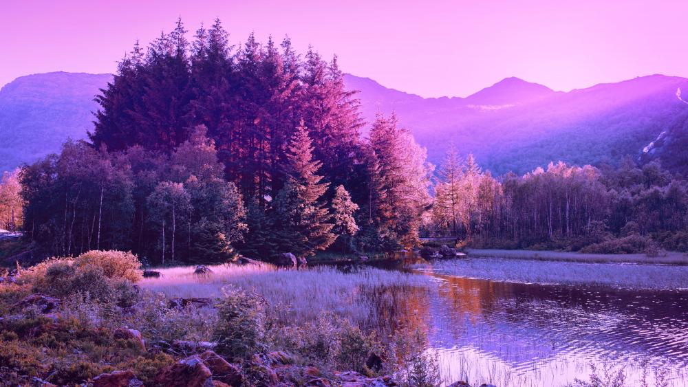 Purple landscape Serenade wallpaper