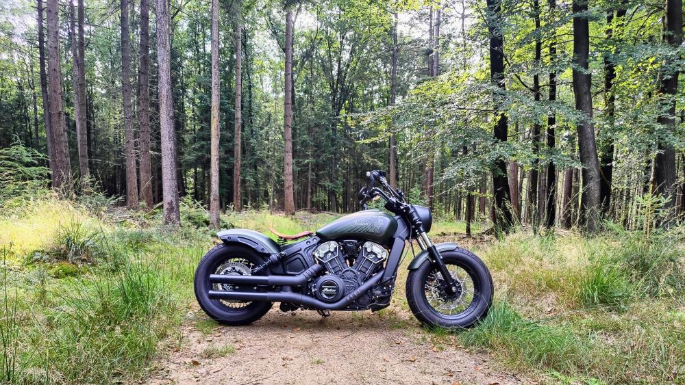 Indian Scout Bobber in the woods wallpaper