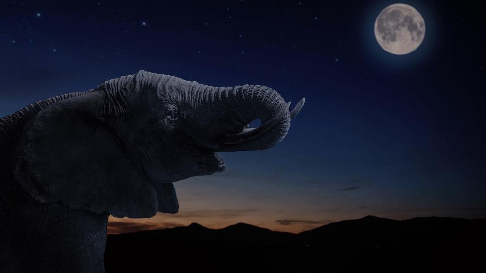 Majestic Elephant Under the Moonlight wallpaper