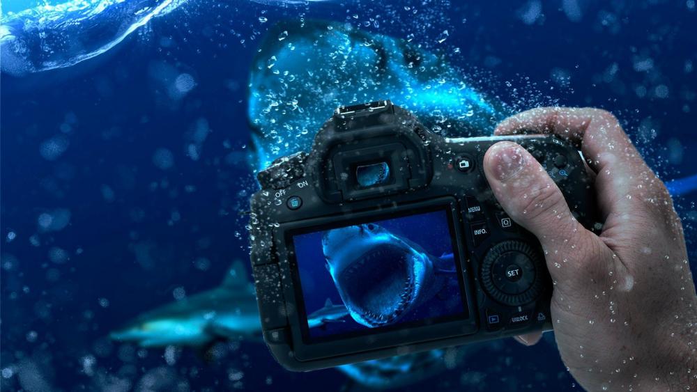 Underwater Photography Adventure wallpaper