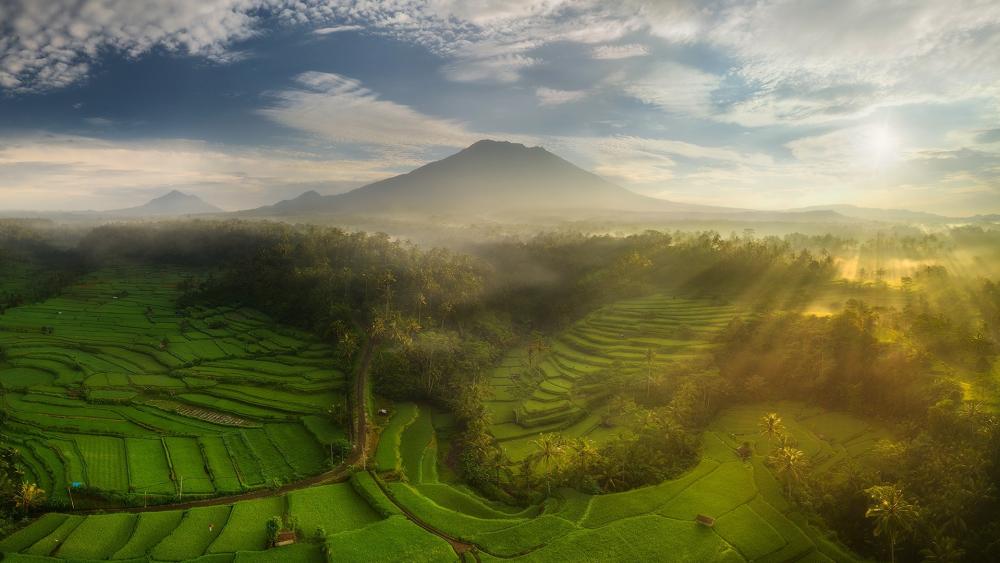Verdant Terraces with Majestic Mount Agung Backdrop wallpaper