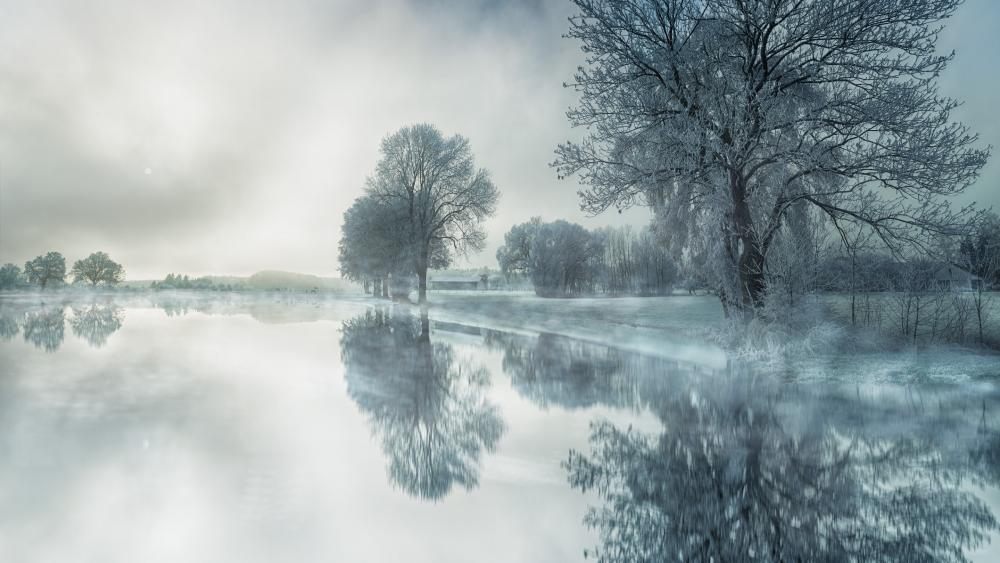 Winter's Serene Reflection wallpaper
