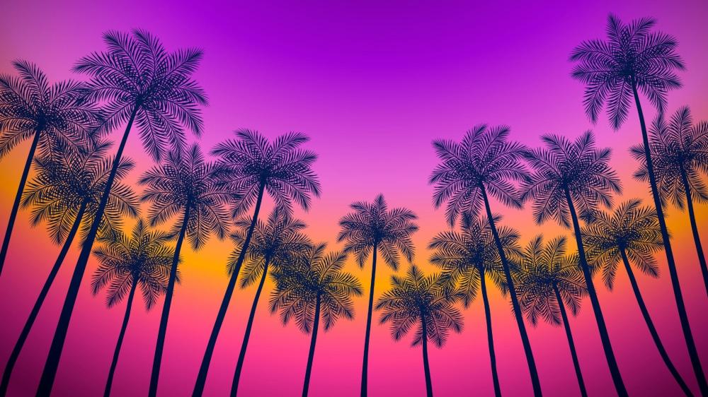 Neon Palm Silhouettes Against Sunset Hues wallpaper