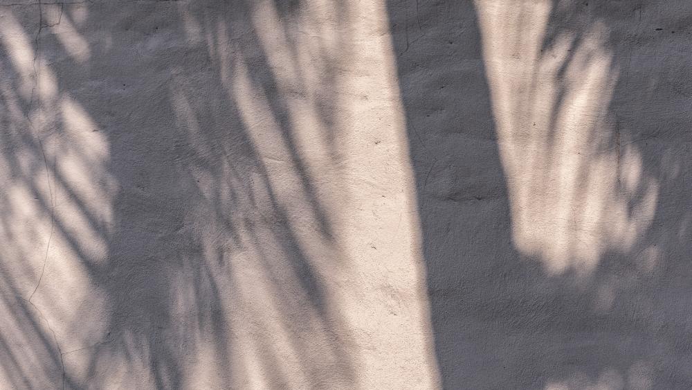 Shadow of leaves on a concrete wall wallpaper