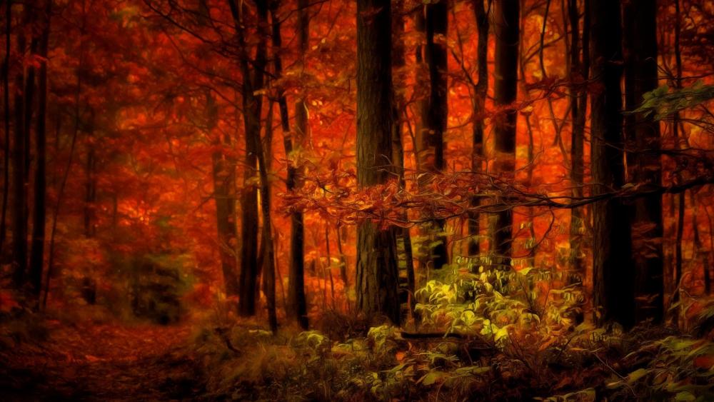 Autumn Hues Enchant the Forest Trail wallpaper