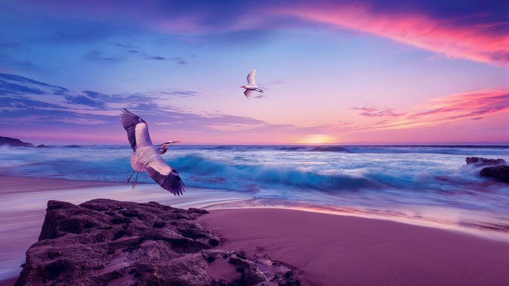 Majestic Herons at Sunset Beach wallpaper