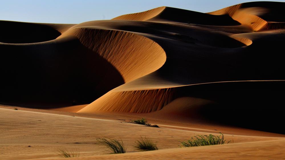 Desert Dunes at Twilight wallpaper