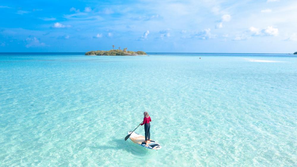 Tropical Paddleboarding Paradise wallpaper