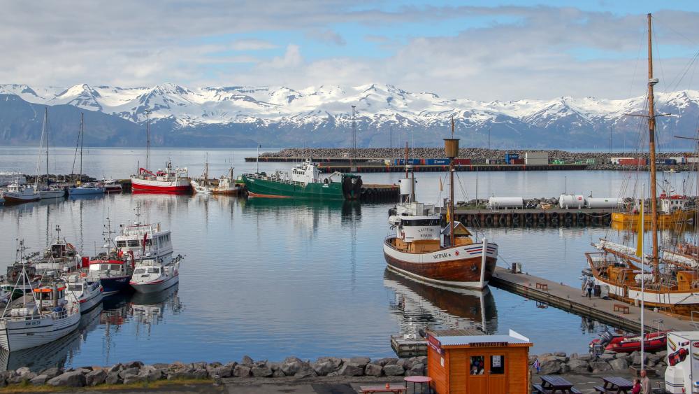 Serene Husavik Harbor: Iceland's Maritime Beauty wallpaper