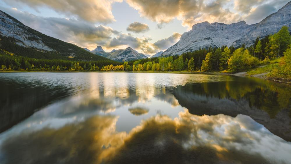 Sunset Serenity at Wedge Pond wallpaper