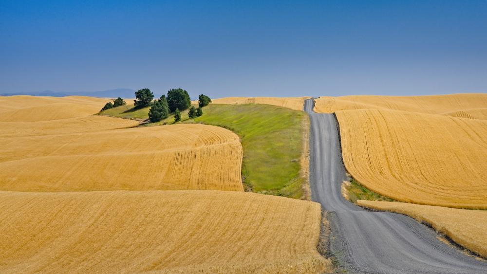 Golden Hills and a Serpentine Journey wallpaper