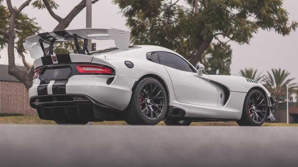 Power and Precision - Sleek White Dodge Viper wallpaper