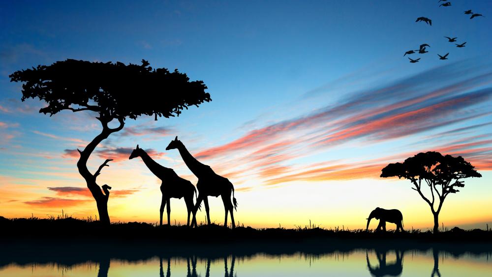 Giraffes in African Sunset Silhouette wallpaper