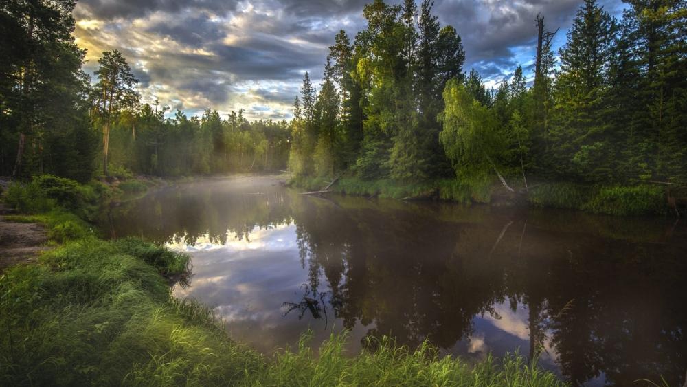 Serene Backwater Landscape at Dawn wallpaper