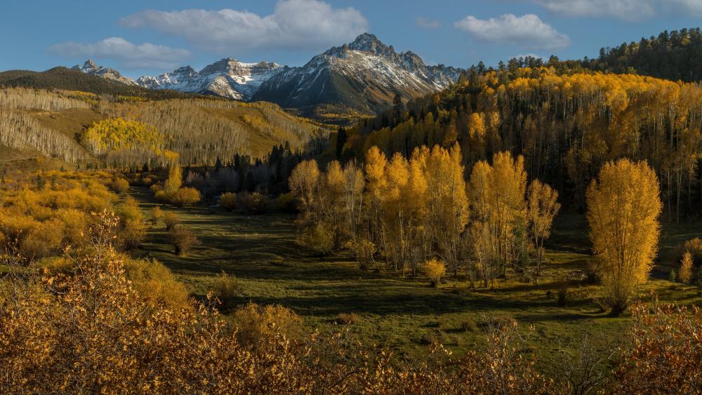 Golden Autumn in Mount Sneffels wallpaper