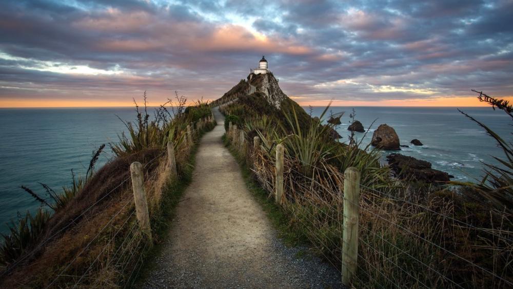 Path to Nugget Point Lighthouse wallpaper