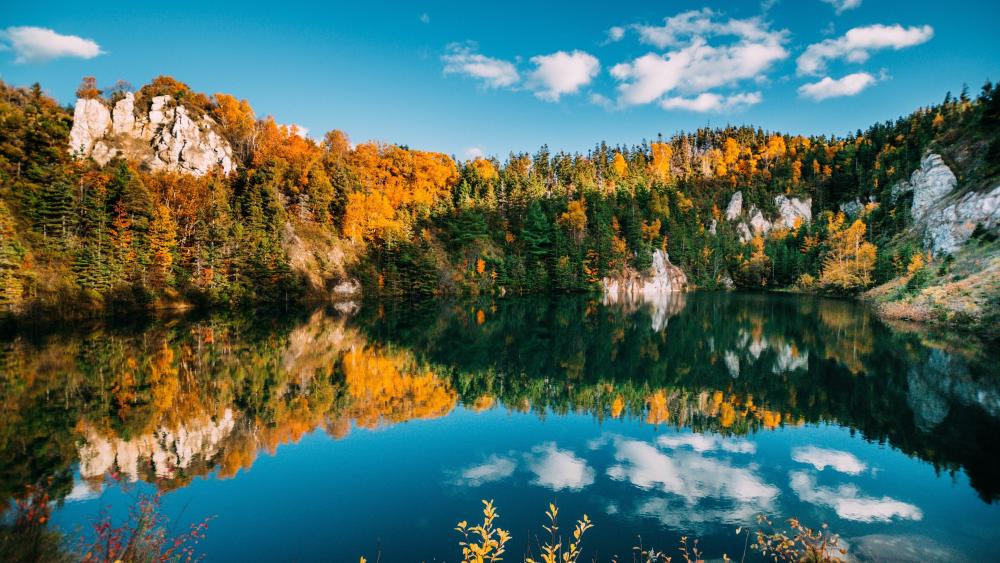 Autumn Reflections in Nova Scotia wallpaper