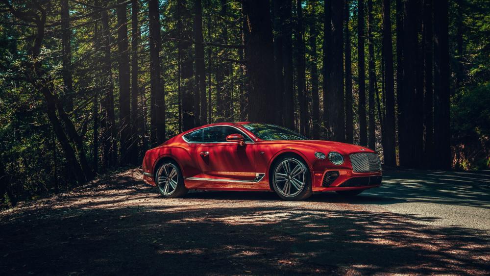 Bentley Continental GT in a Forest Setting wallpaper