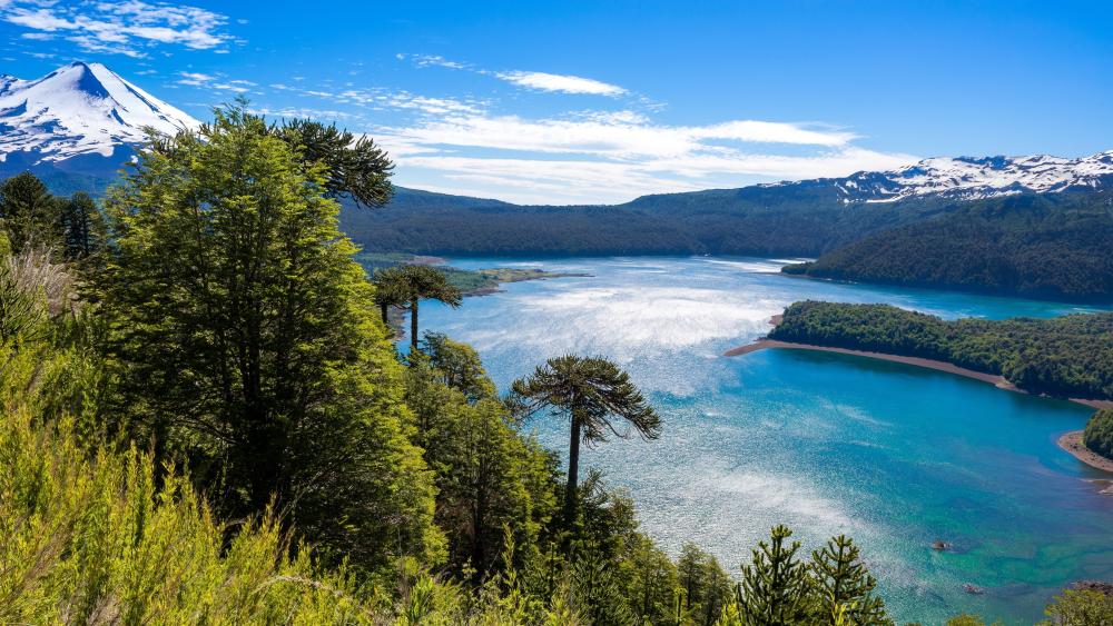 Stunning Vista of Parque Nacional Conguillio wallpaper