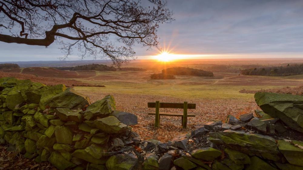 Sunset View from Country Bench wallpaper