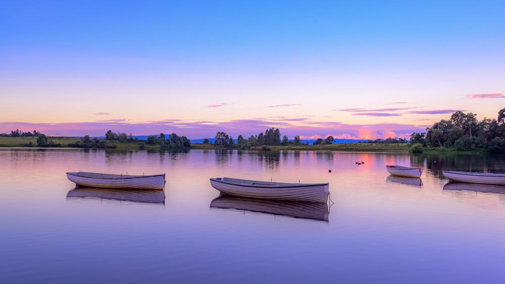 Serene Morning on the Lake wallpaper