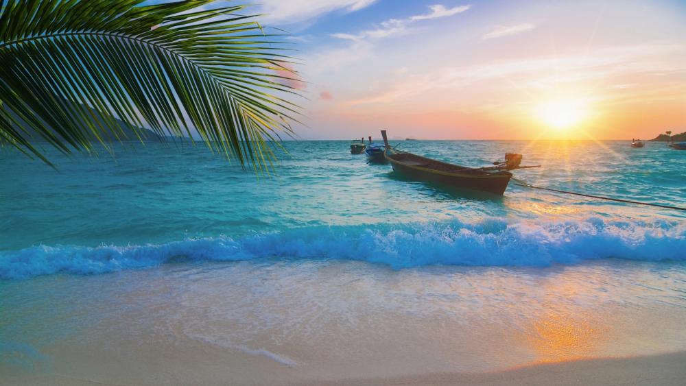 Sunset Serenity on a Tropical Beach wallpaper