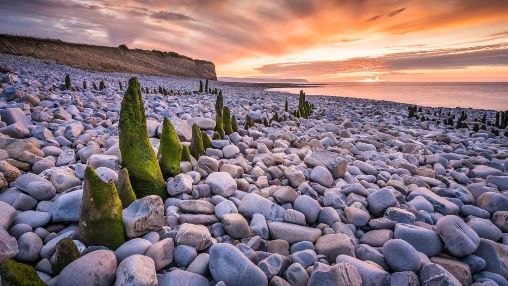 Sunset Over Rocky Pebble Beach wallpaper