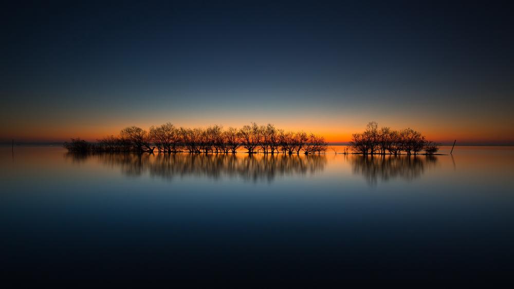 Twilight Tranquility by the Water wallpaper