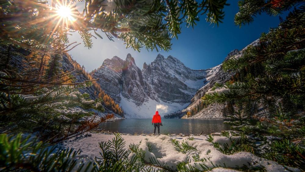 Serene Beauty of Lake Agnes on a Sunny Day wallpaper