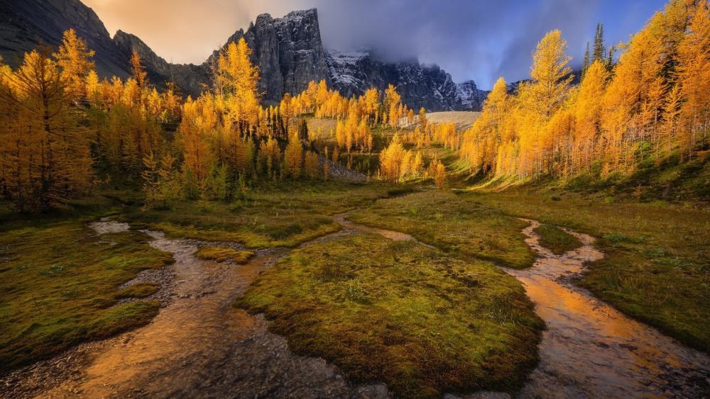 Golden Autumn at Athabasca Falls wallpaper