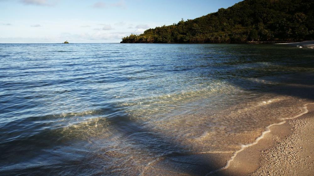 Serene Ocean View at Golden Hour wallpaper