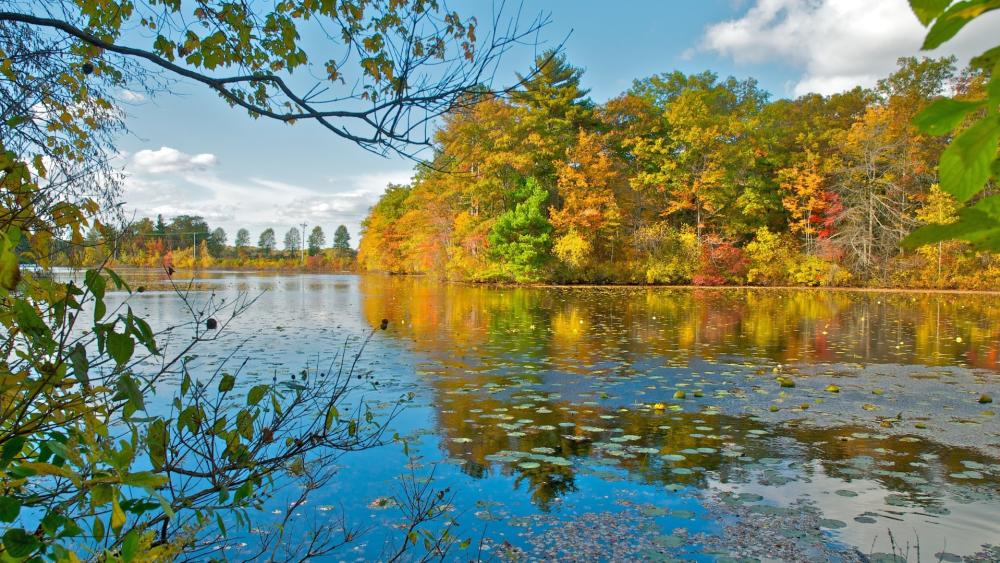 Autumn Splendor by the Lakeside wallpaper