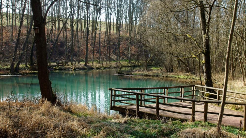 Tranquil Forest Lake with Wooden Pier wallpaper