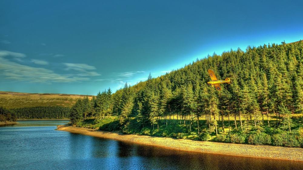 Golden Plane over Serene Forest Lake wallpaper